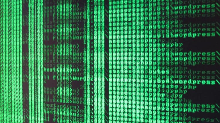 One Dash vs Two Dashes in Shell Commands