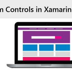 Custom Controls in Xamarin.Forms