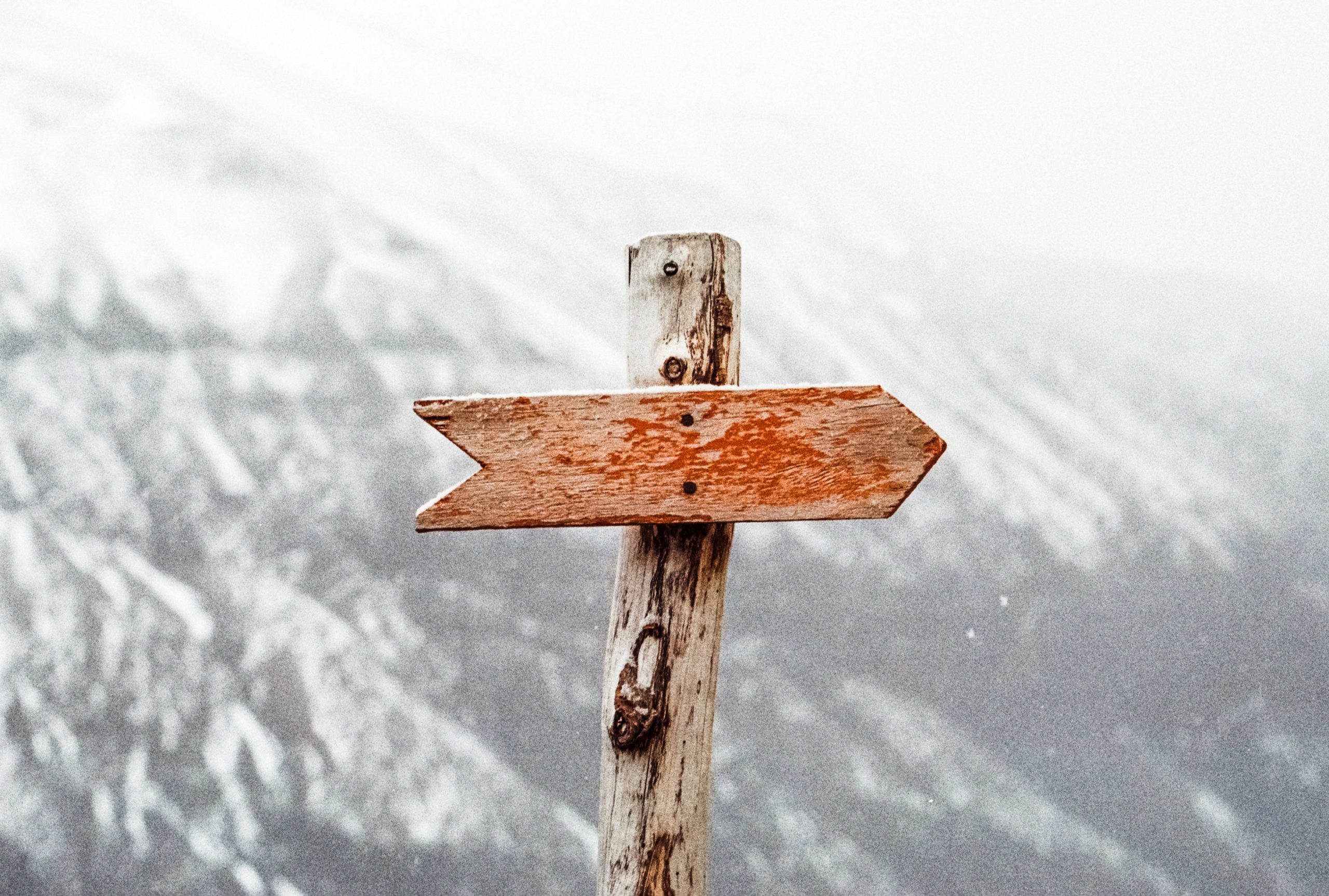 RESTful API Testing Guidelines