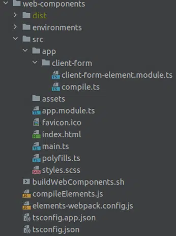 Folder Structure of current Angular project to compile web components
